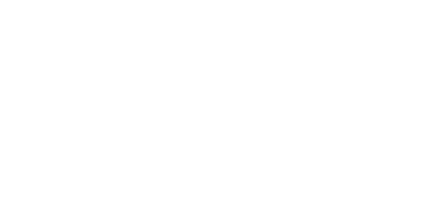 Z-W